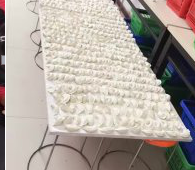 冬至來臨，公司員工一起來包＂扁食＂